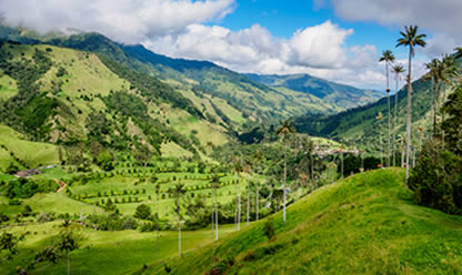 Viajes a MEDELLIN A LA CARTA 2026 en español | Agencia de Viajes Festival Viajes a MEDELLIN A LA CARTA 2026 en español | Agencia de Viajes Festival