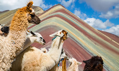 Viajes a CUSCO A PRIMERA VISTA 2026 en español | Agencia de Viajes Festival Viajes a CUSCO A PRIMERA VISTA 2026 en español | Agencia de Viajes Festival
